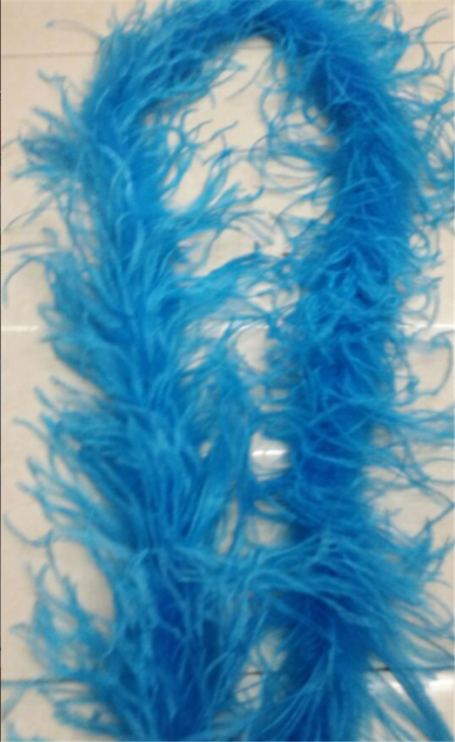 FeatherOstrich feather