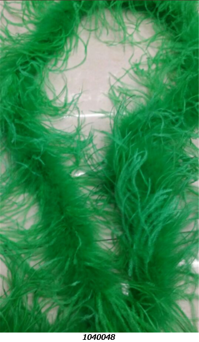 FeatherOstrich feather
