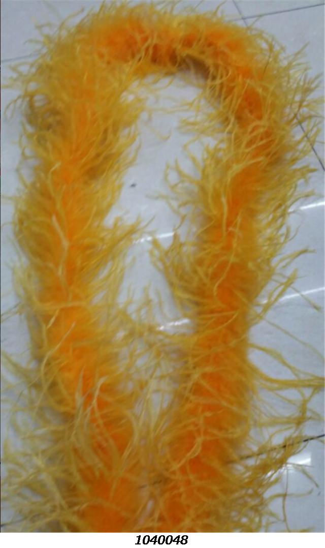 FeatherOstrich feather