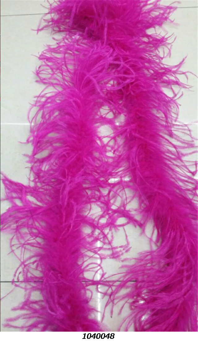 FeatherOstrich feather