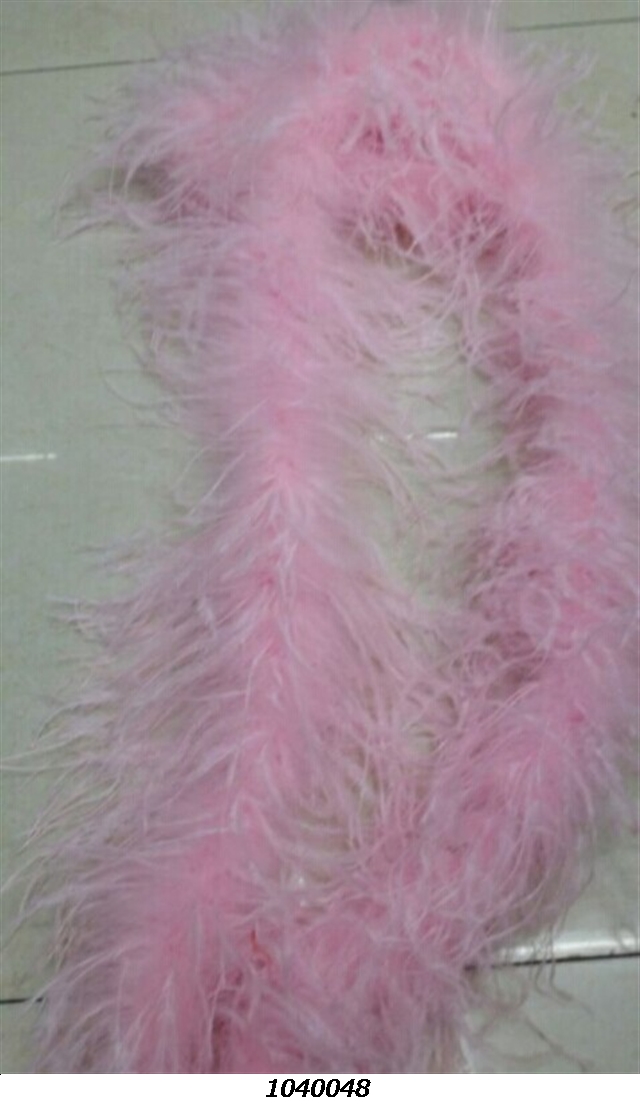 FeatherOstrich feather