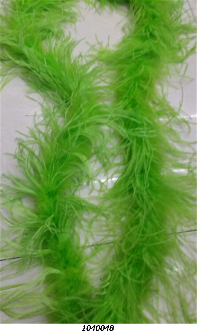 FeatherOstrich feather
