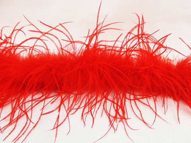 FeatherOstrich feather