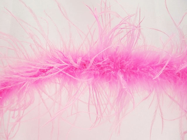 FeatherOstrich feather