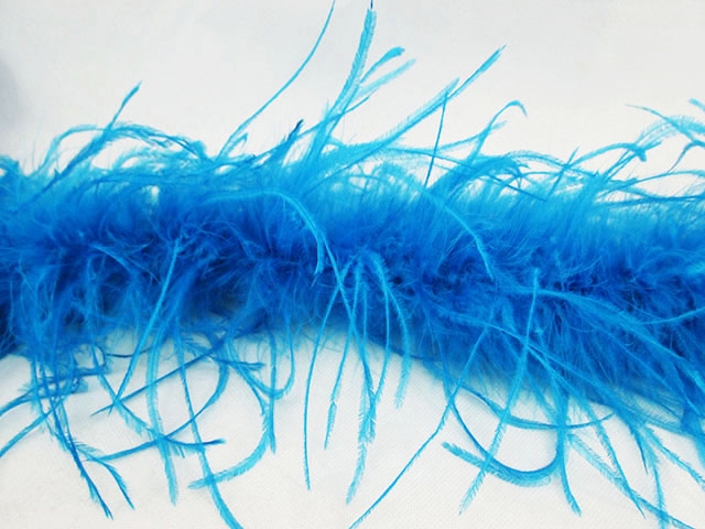FeatherOstrich feather