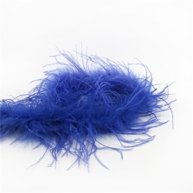 FeatherOstrich feather