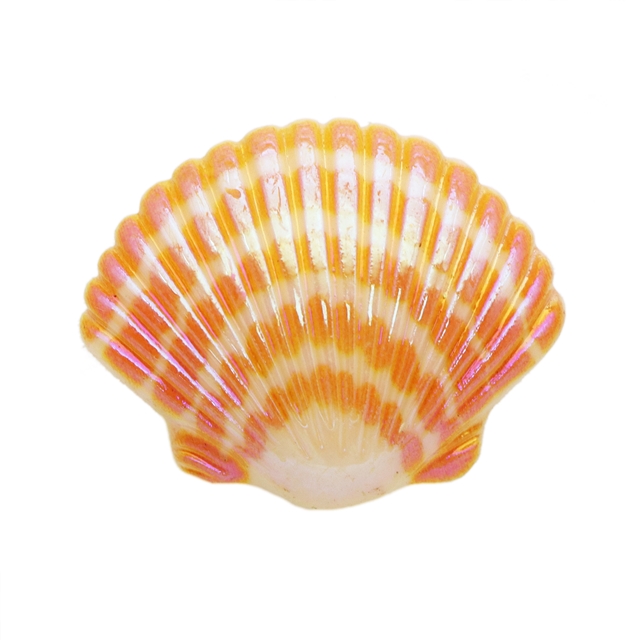 23*28mm(0.9*1.1