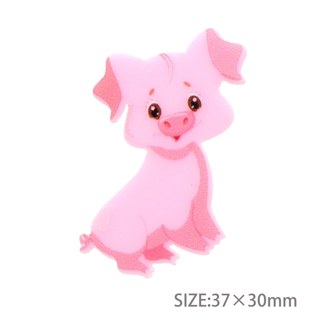 acrylic printed acrylic