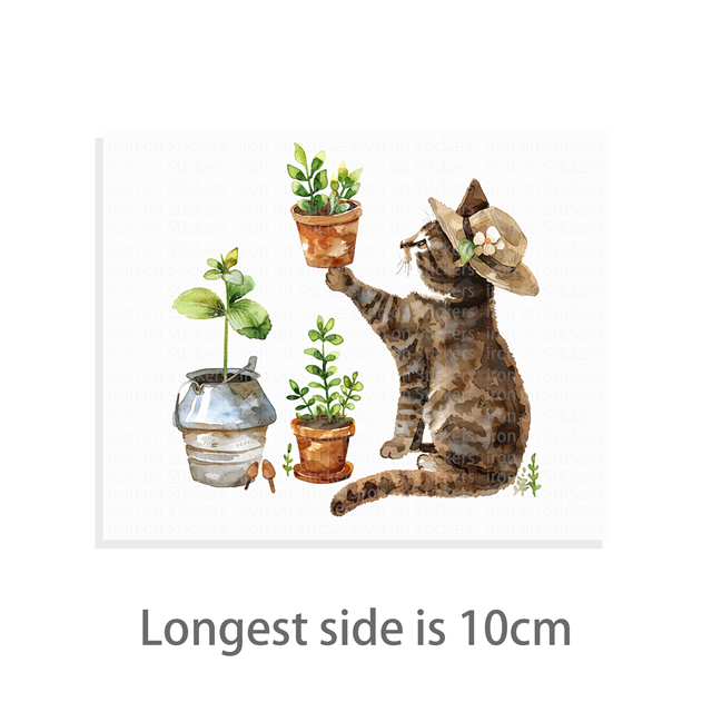 cotton Iron On Transfer Stickers and T-shirts