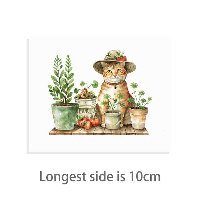 cotton Iron On Transfer Stickers and T-shirts