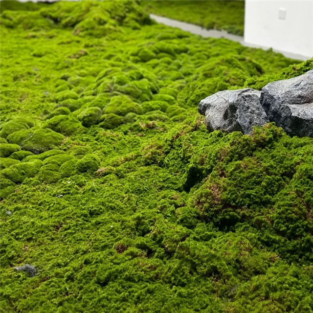 simulated moss artificial turf