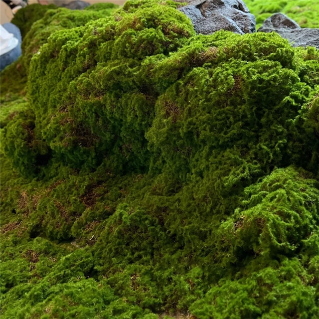 simulated moss artificial turf