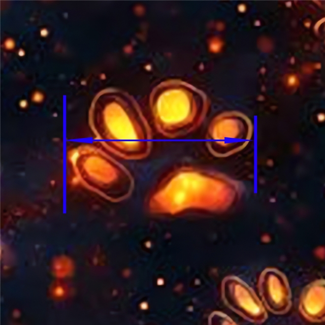 synthetic leather synthetic leather