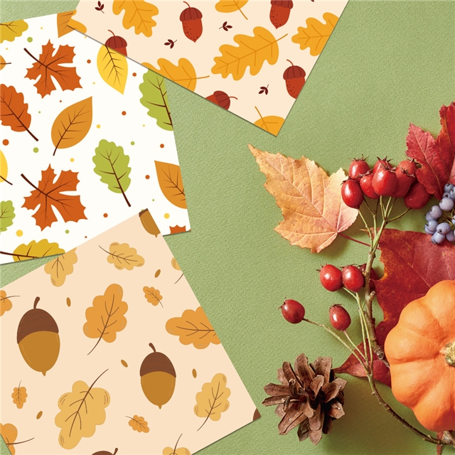autumn thanksgiving pumpkin leaf gift packaging paper set