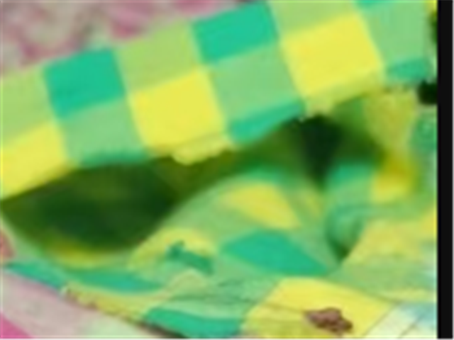 cotton yarn dyed checkered fabric