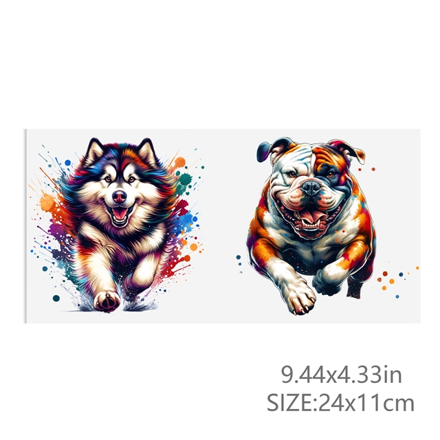 24*11cm(9.4*4.3