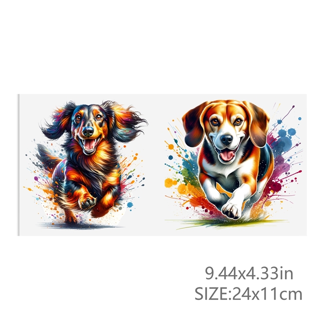 24*11cm(9.4*4.3