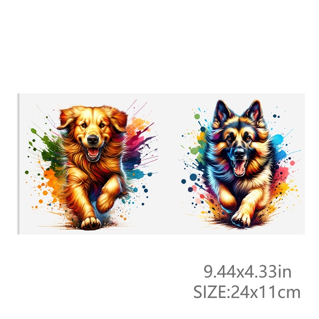 24*11cm(9.4*4.3
