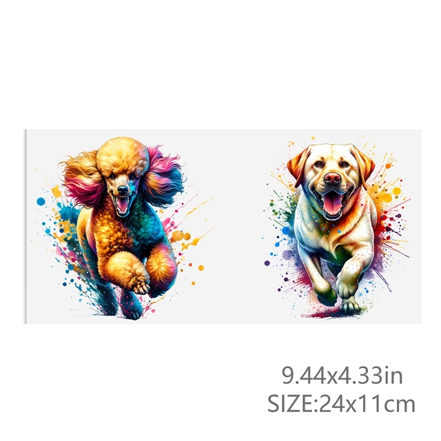 24*11cm(9.4*4.3