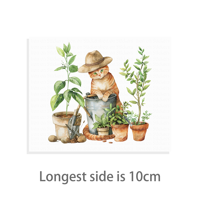 cotton Iron On Transfer Stickers and T-shirts