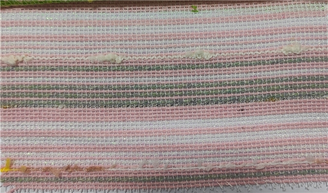 polyester colorful scallions stripe woolen woven small fragrant fabric