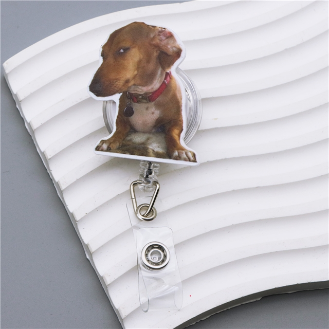 acrylic+plastic acrylic easy pull retractable buckle