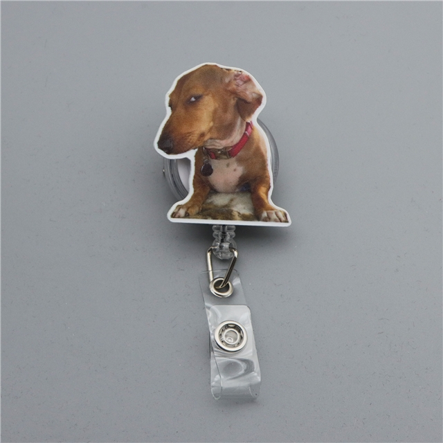 acrylic+plastic acrylic easy pull retractable buckle