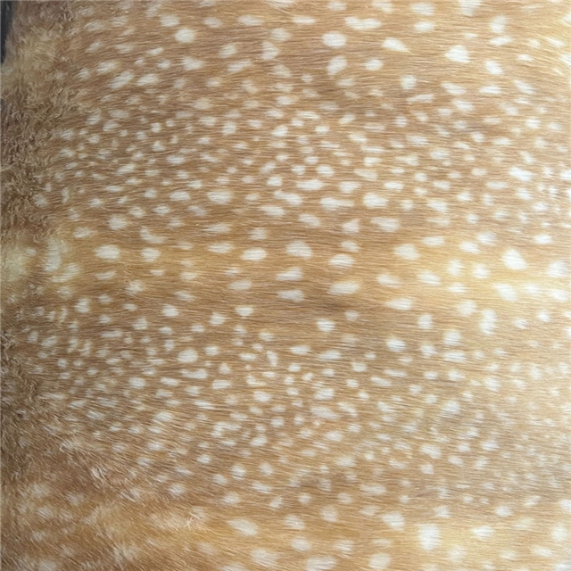 50*160cm(19.7*63