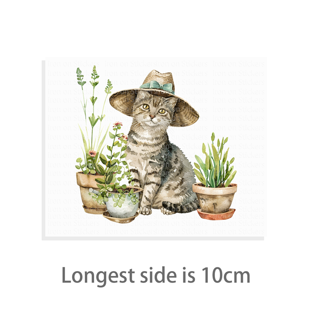 cotton Iron On Transfer Stickers and T-shirts