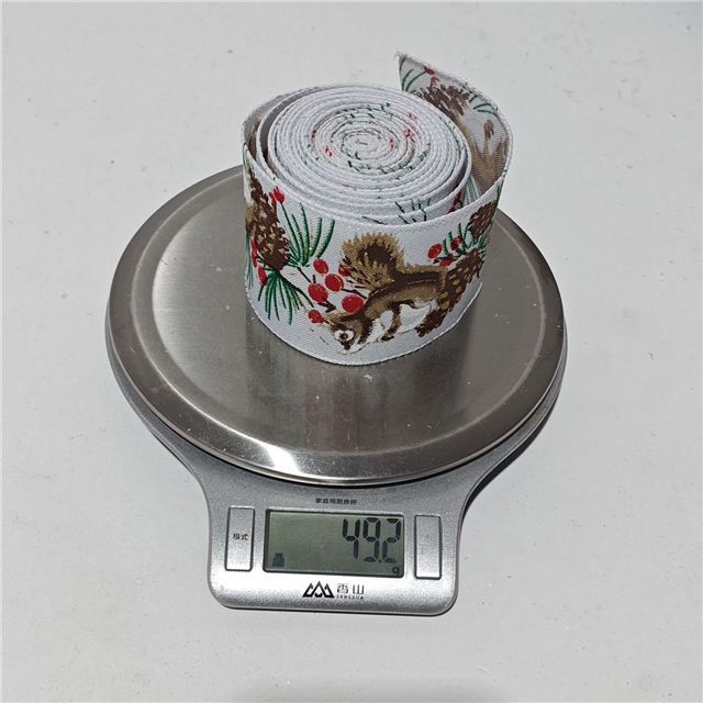 63mm(2-1/2
