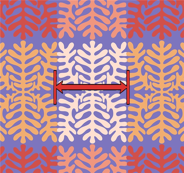 fabric