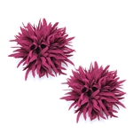 flower, wine red